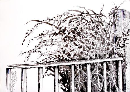 Buganvillas - Acuarela - Watercolor