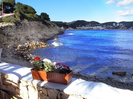 Bocetos - Árboles y paisajes. Tintas y acuarelas