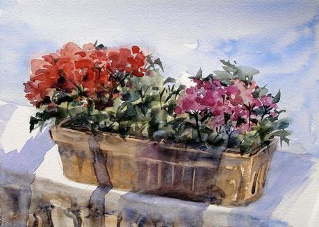 Bocetos - Árboles y paisajes. Tintas y acuarelas