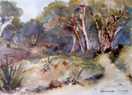 Bocetos - Árboles y paisajes. Tintas y acuarelas