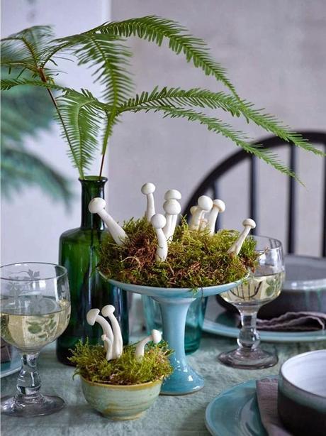 LA NATURALEZA DENTRO DE CASA