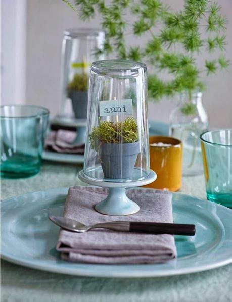 LA NATURALEZA DENTRO DE CASA