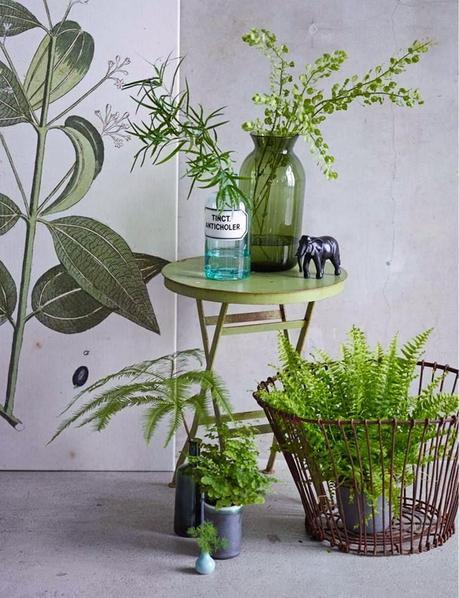 LA NATURALEZA DENTRO DE CASA