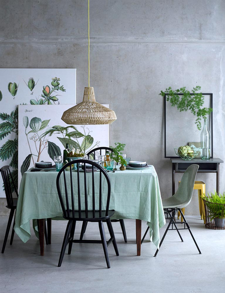 LA NATURALEZA DENTRO DE CASA