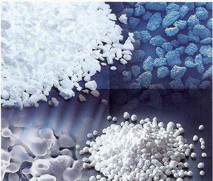 Regeneración Osea con Células Madres