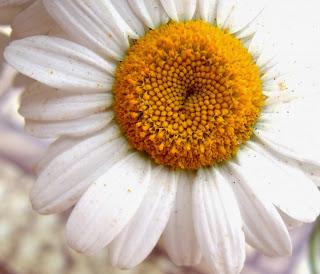 Mascarilla para días cansados