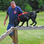 entrenamiento de perros con refuerzo positivo