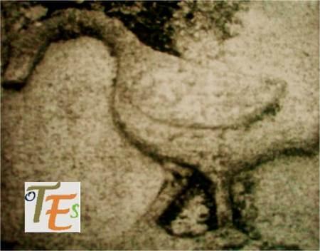 Alquimia en la Catedral de Toledo. El juego de la Oca.