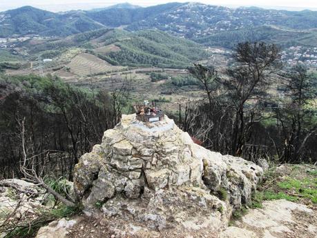 Gavá - Begues - Puig Vicenç (Vallirana) - Sant Climent - Gavá 05/01/2014