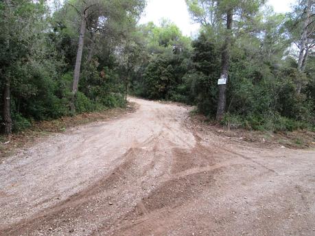 Gavá - Begues - Puig Vicenç (Vallirana) - Sant Climent - Gavá 05/01/2014