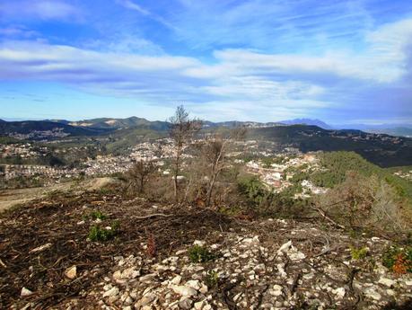 Gavá - Begues - Puig Vicenç (Vallirana) - Sant Climent - Gavá 05/01/2014