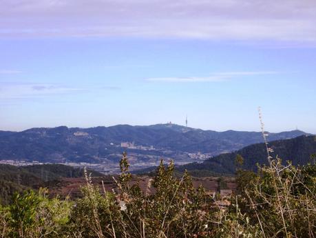 Gavá - Begues - Puig Vicenç (Vallirana) - Sant Climent - Gavá 05/01/2014