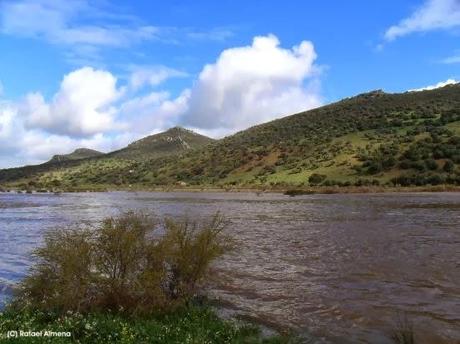 Medio Ambiente de Andalucía abre el trámite de información pública para la declaración de nuevas Zonas Especiales de Conservación