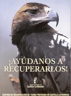 Castilla – La Mancha sin hospitales para la fauna