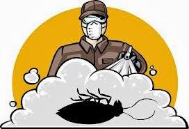 Exterminio: Plaga de hormigas