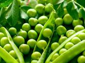Alimentación recetas
