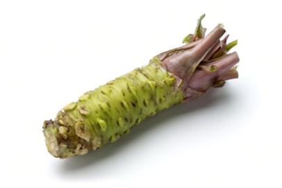 raíz de wasabi