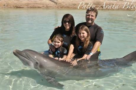 Atlantis, dolphins interaction, disney dream, vacaciones, delfines, patty arata blog