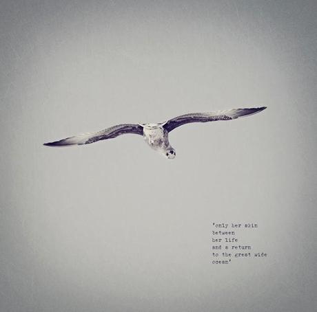 Wind of Inspiration #5