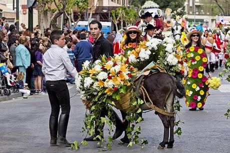 Fiesta de la Primavera, Murcia 2013