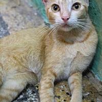 Yangón – Una buena sopresa para comenzar Myanmar