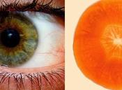 Conexiones naturaleza nuestro cuerpo