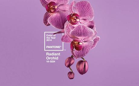 Inspiración de fin de semana: Radiant Orchid. Color del año de Pantone