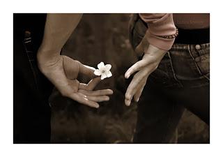 Mis Mejores del 2012