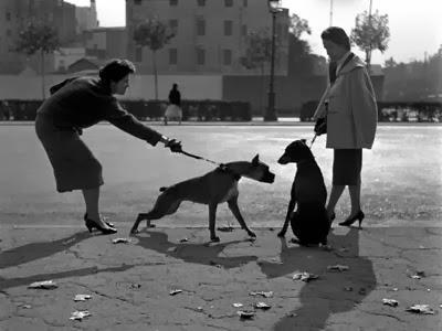 querer ser fotógrafa.