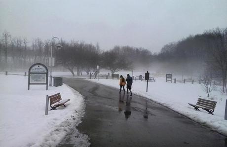 Mañana de neblina en Princess Point