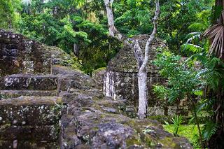 Lugar de las Voces, Tikal