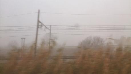UNA DE NIEBLA...12-01-2014...MOLLET DEL VALLÈS, BARCELONA.
