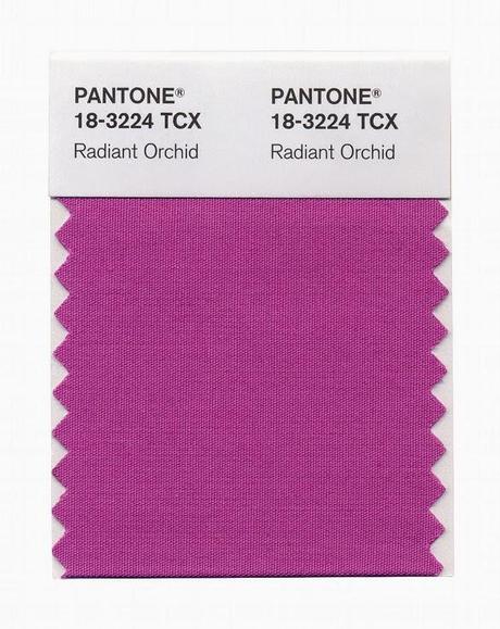 Pantone 14