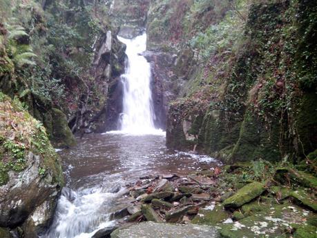 San Silvestre Aranga On Move (free trail) San Silvestre Aranga On Move (free trail)