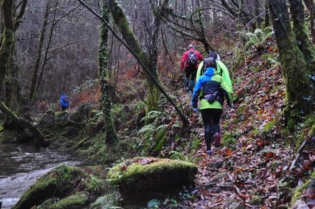 San Silvestre Aranga On Move (free trail) San Silvestre Aranga On Move (free trail)