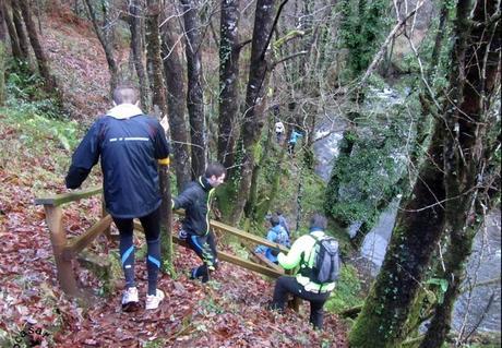 San Silvestre Aranga On Move (free trail) San Silvestre Aranga On Move (free trail)