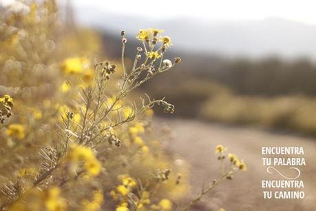 ¿Qué palabra has escogido para el 2014? encuentratupalabra