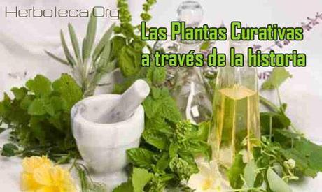Las plantas curativas a través de la historia