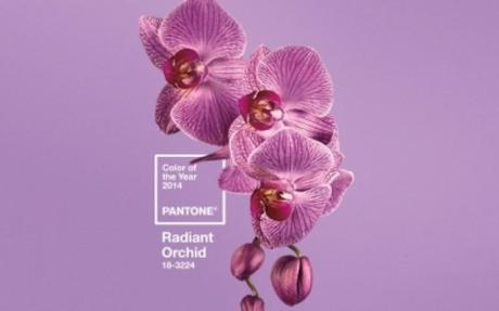 COLOR 2014: VIBRANT ORCHID SEGÚN PANTENE