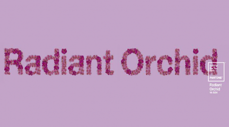 COLOR 2014: VIBRANT ORCHID SEGÚN PANTENE