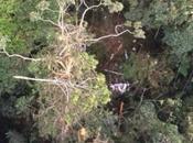 Santos oculta Farc impactaron helicóptero