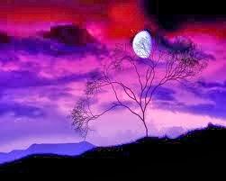 LA POESÍA DE FERNANDO VALVERDE EN LA NOCHE EN BLANCO DE GRANADA