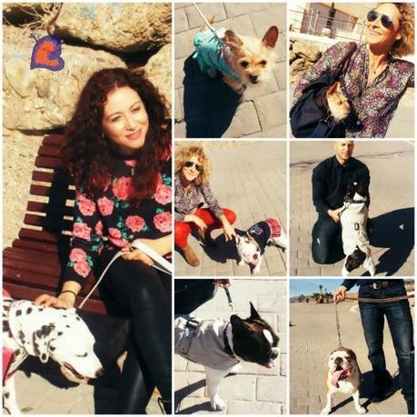 ModaYMascotas-FashionAndPets-ModeEtMascottes