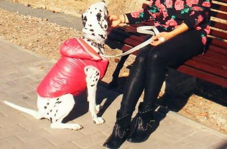 ModaYMascotas-FashionAndPets-ModeEtMascottes