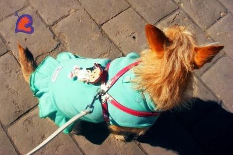 ModaYMascotas-FashionAndPets-ModeEtMascottes