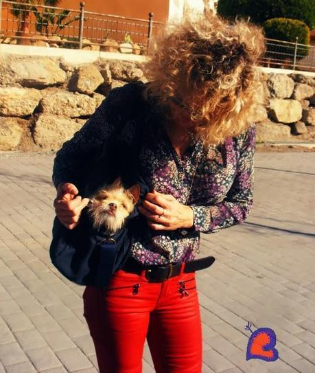 ModaYMascotas-FashionAndPets-ModeEtMascottes