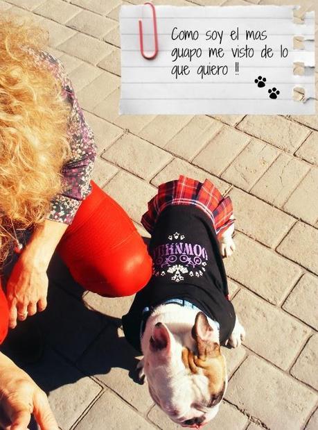 ModaYMascotas-FashionAndPets-ModeEtMascottes