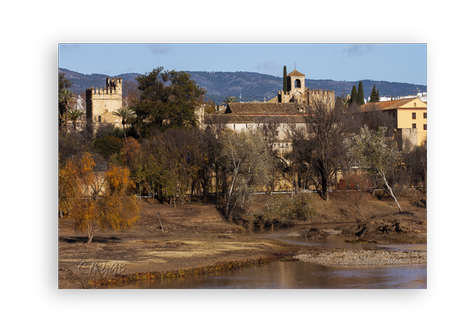Sotos de la Albolafia