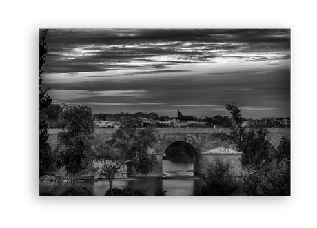 Sotos de la Albolafia