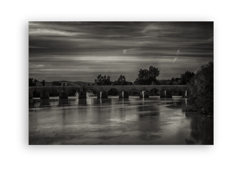 Sotos de la Albolafia